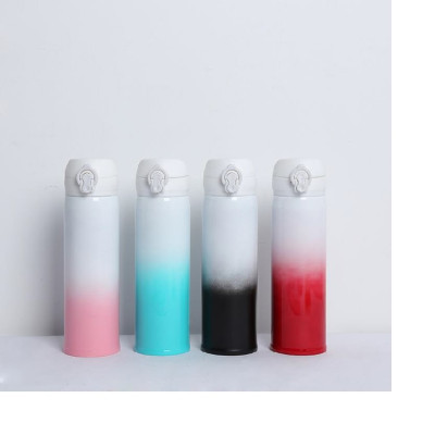 Double Layer Steel Insulated Bottle with Vacuum Flask